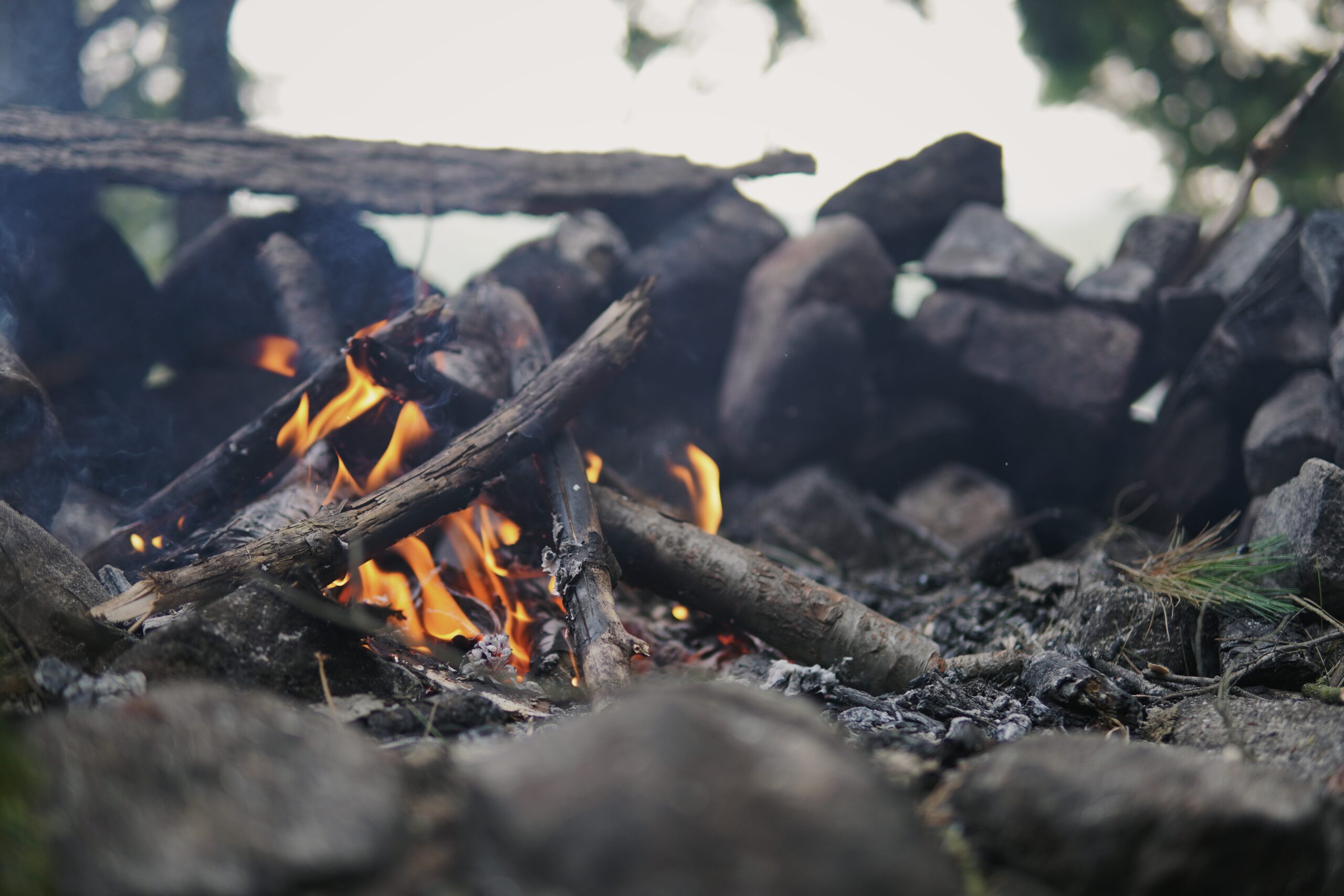 A campfire burning with flames surrounded by rocks and logs in a natural setting.